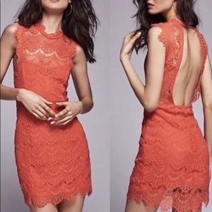 Free People daydream bodycon lace dress